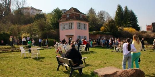 Bild 11