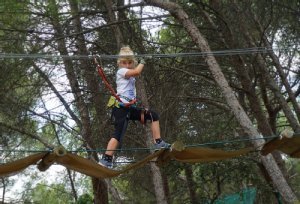 Kletterwald