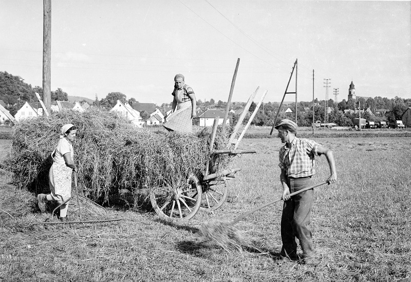 Heuernte in früheren Zeiten