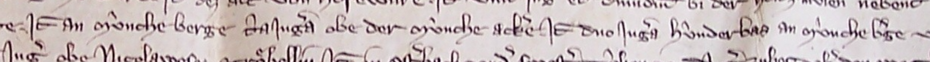 Ausschnitt aus einer Kaufurkunde von 1312